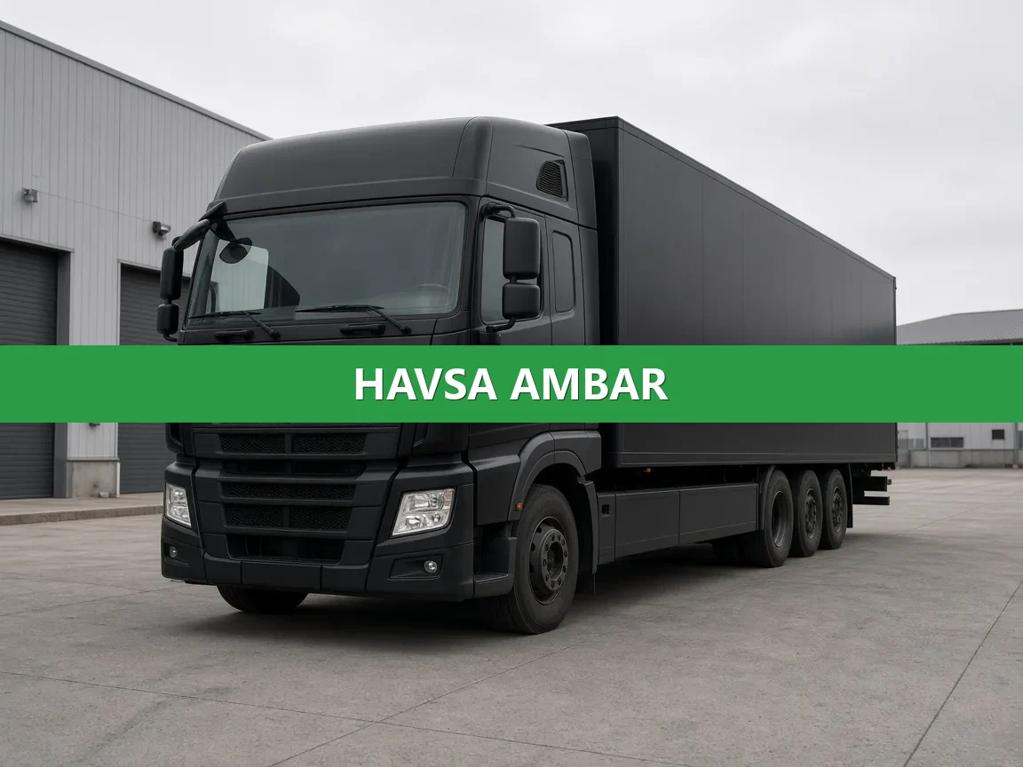Havsa Ambar